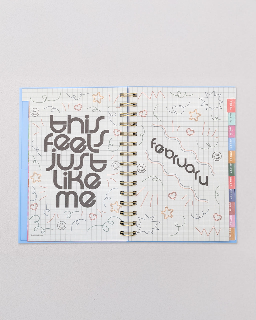 12-Month Soft Cover Planner Medium 2026 - Let's Have Some Fun