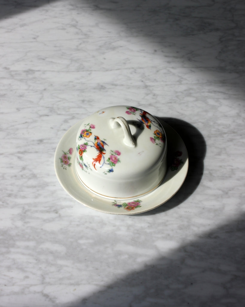 Vintage Selection - Butter Dish Phoenix