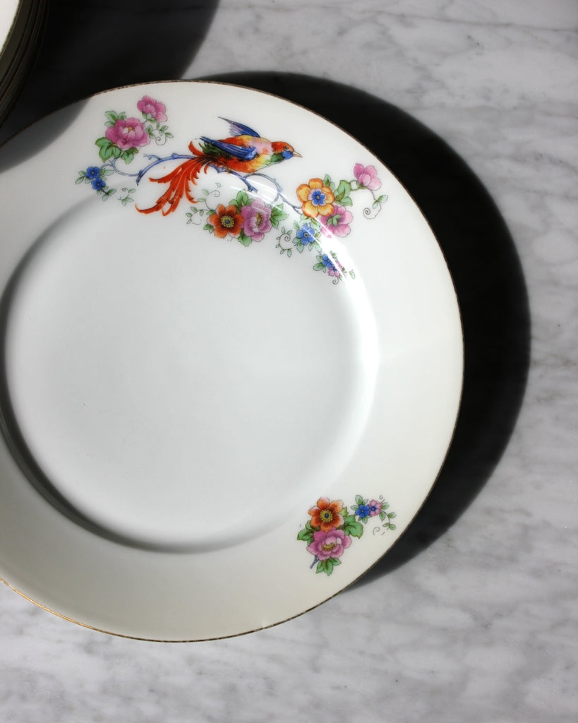 Vintage Selection - Vintage Plates Phoenix