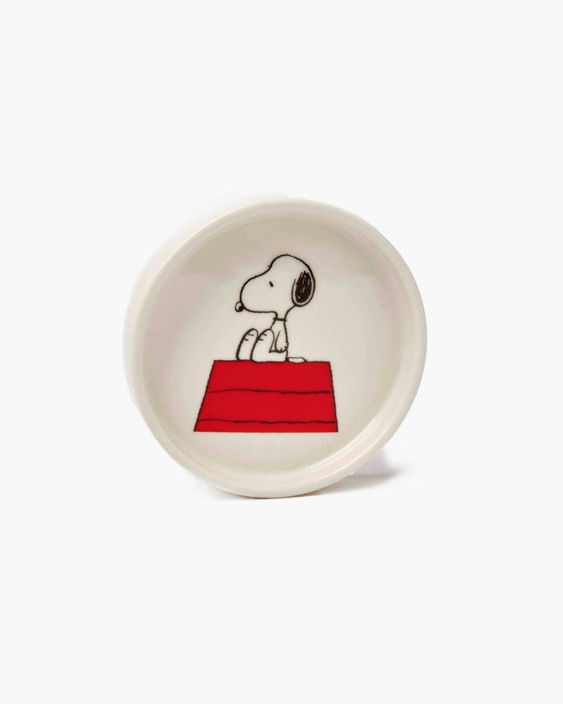 Peanuts Trinket Dish - Home Sweet home