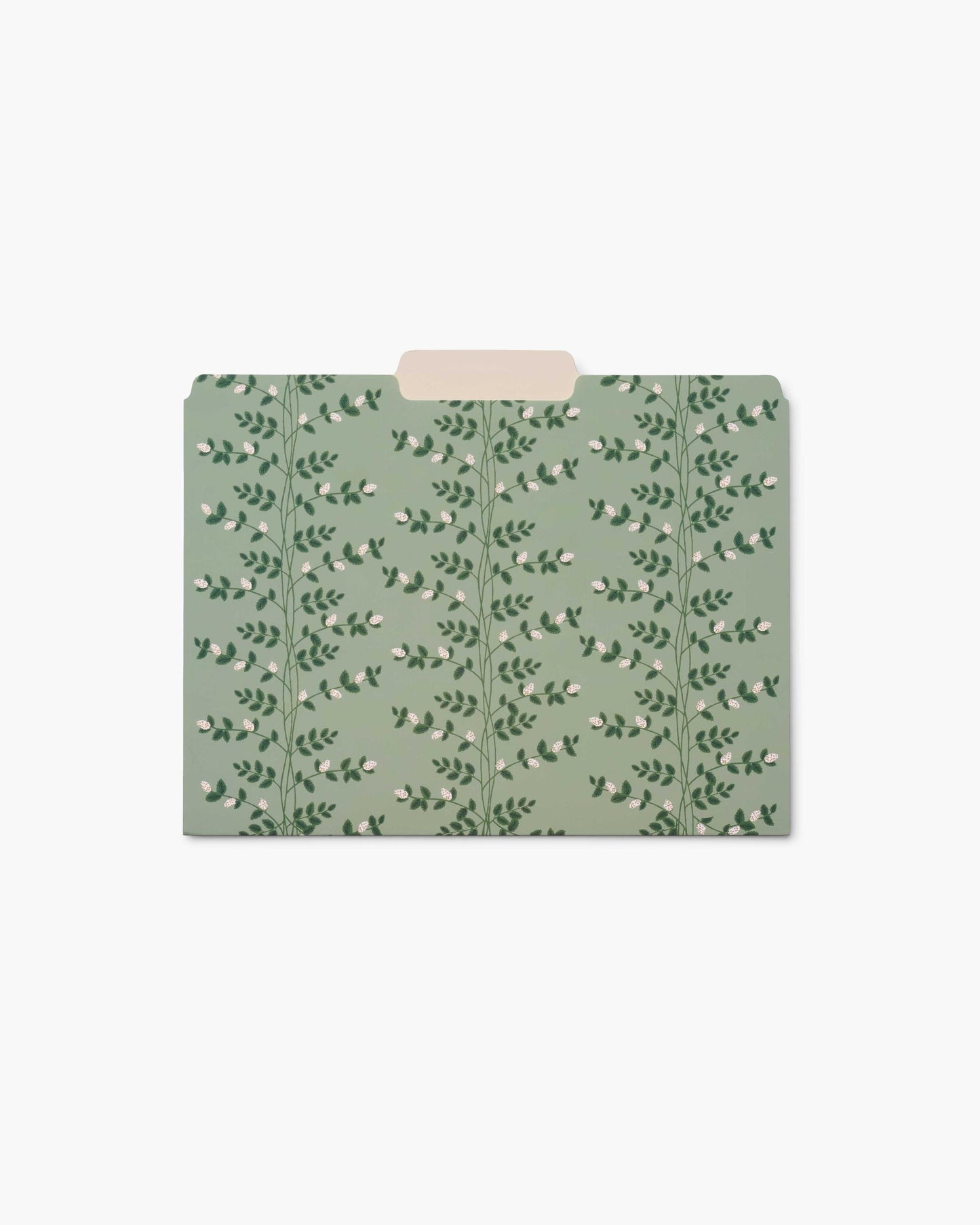 File Folder Set - Dahlia