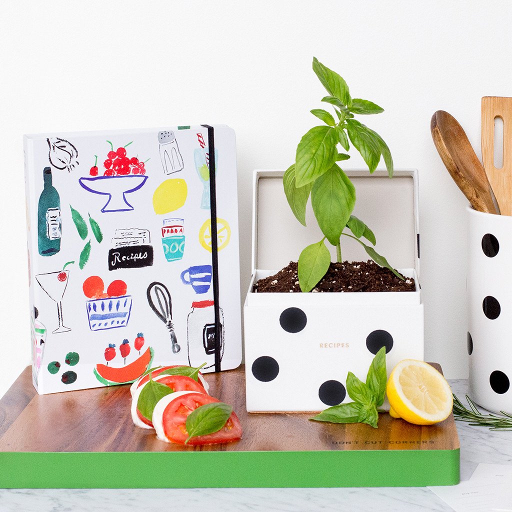 Recipe Box - Bikini Dot