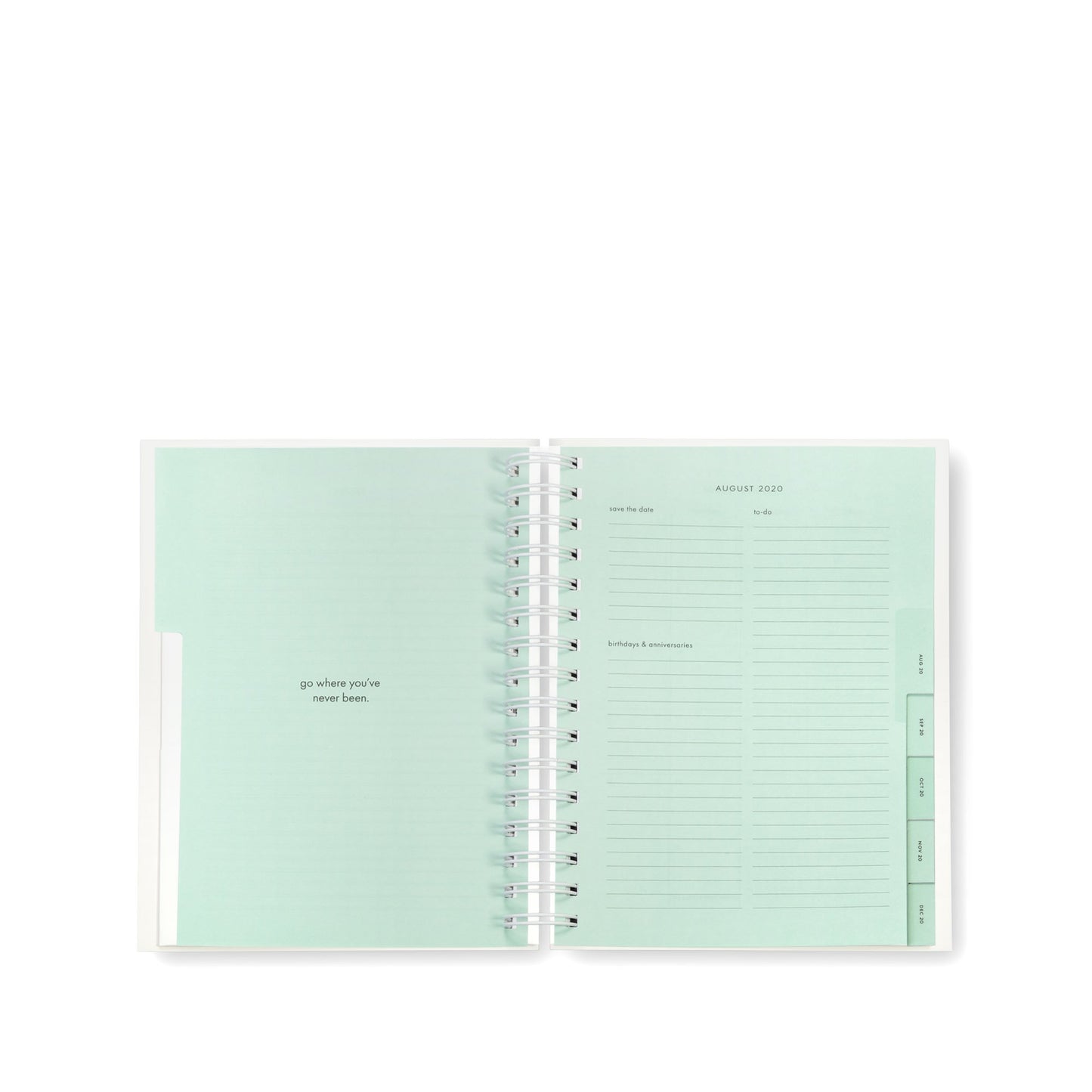 17-Month Large Planner - White Dot