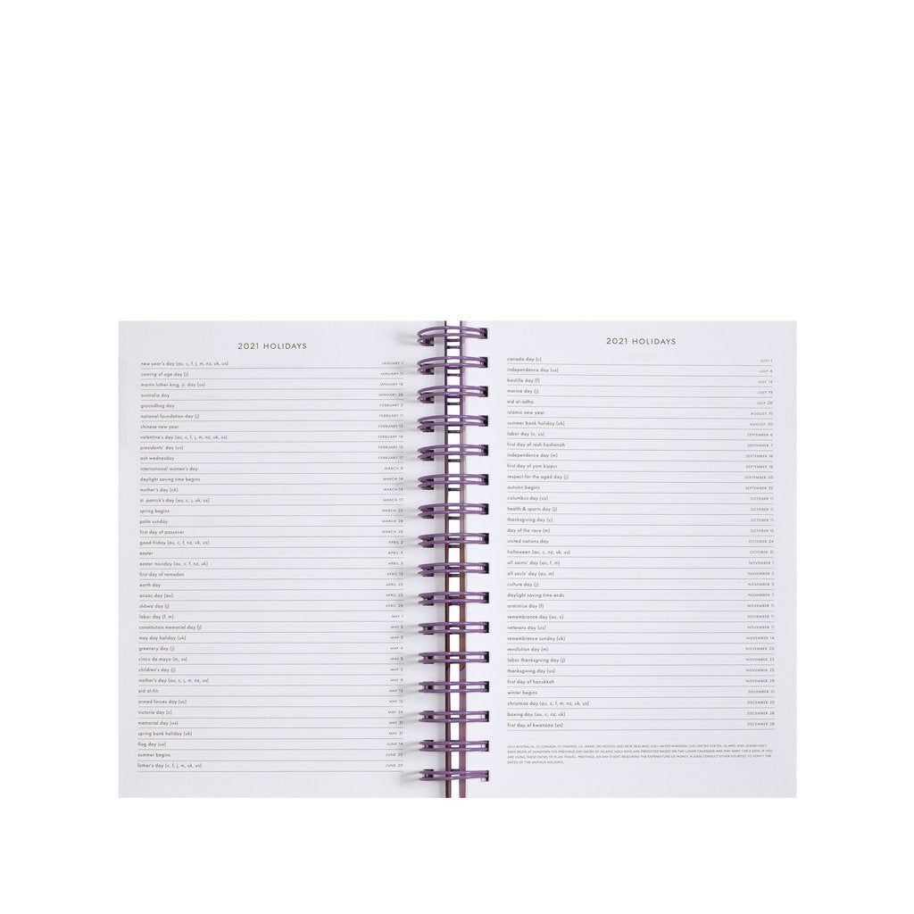 17 Month Large Planner - Scallop