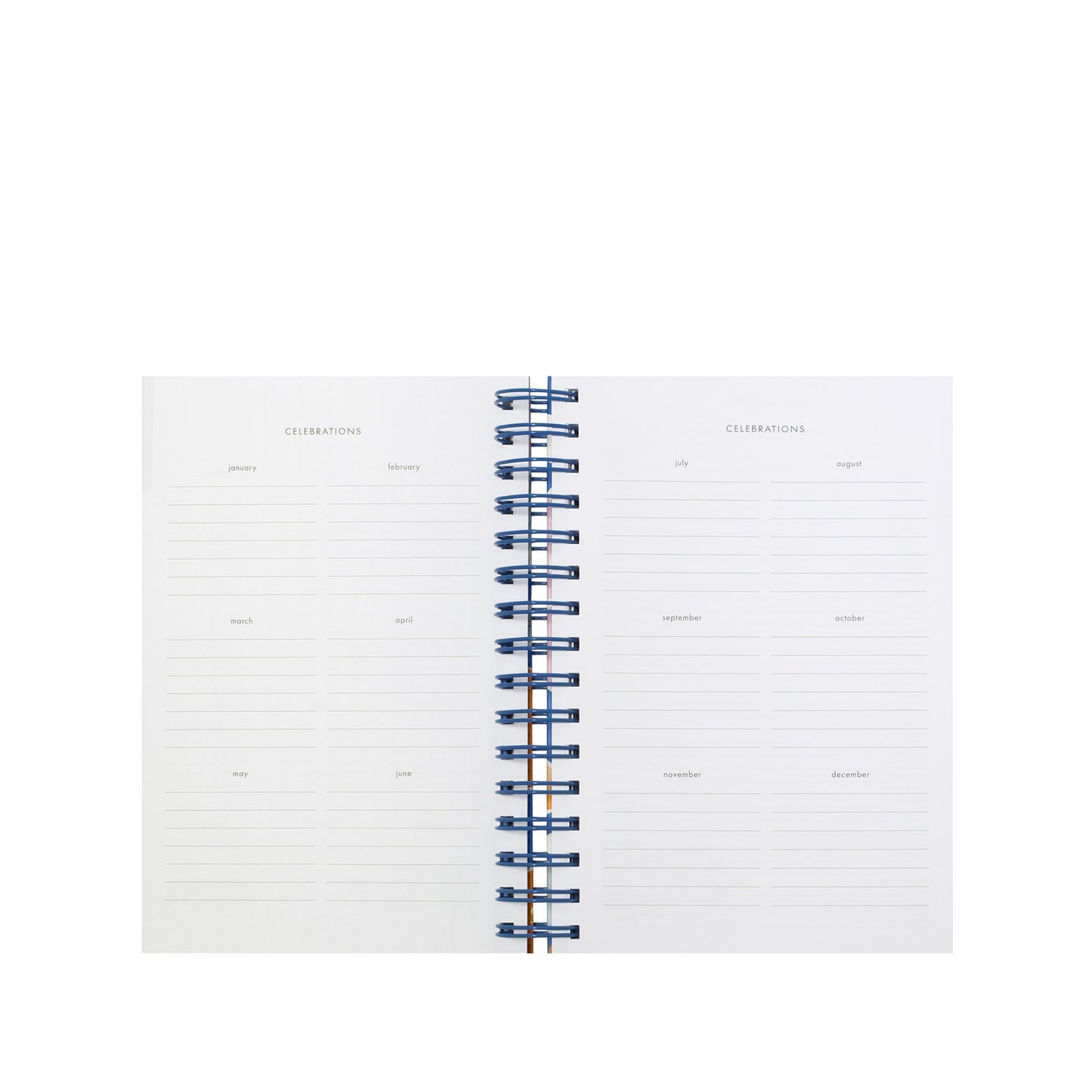 17 Month Medium Planner - Pop Floral