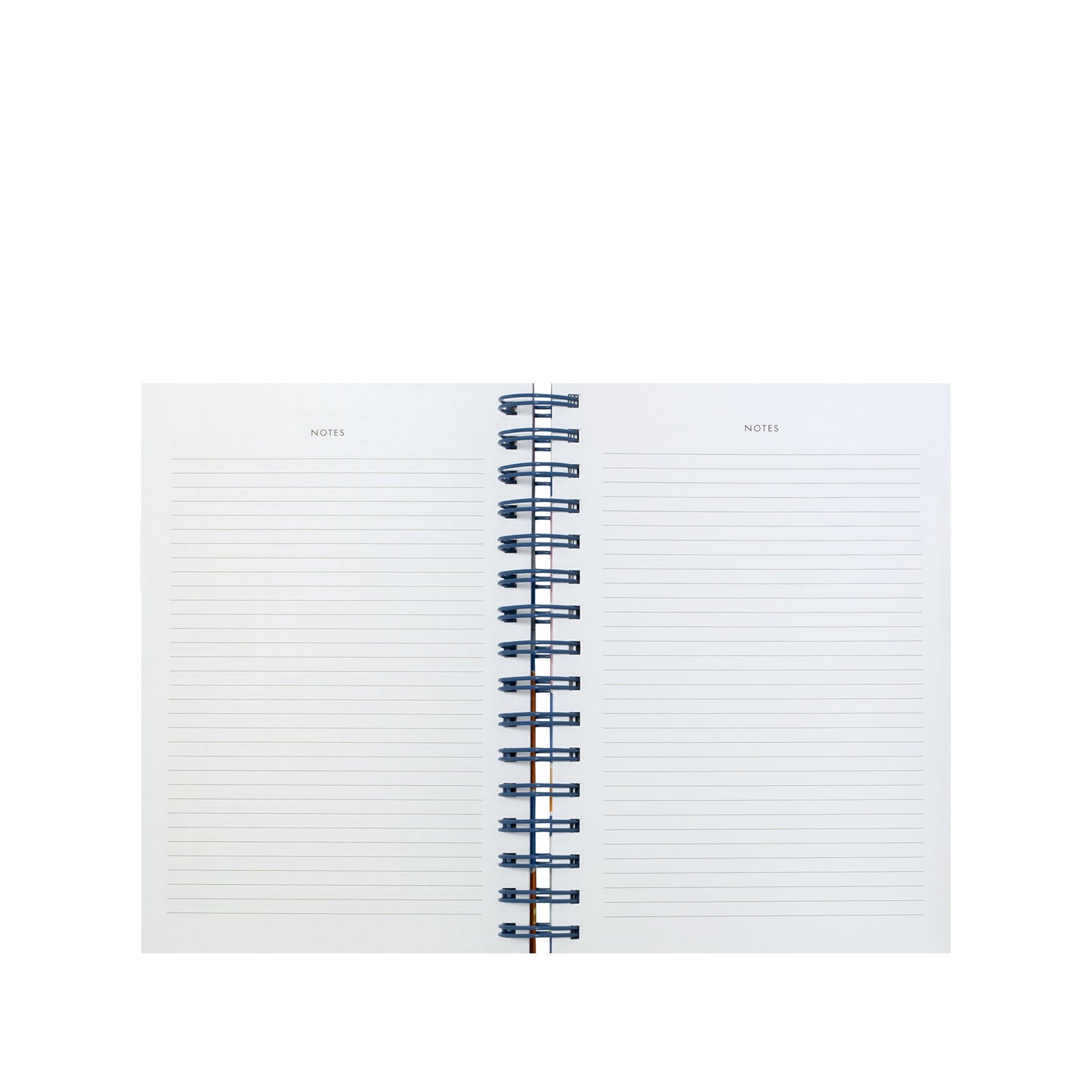 17 Month Medium Planner - Pop Floral