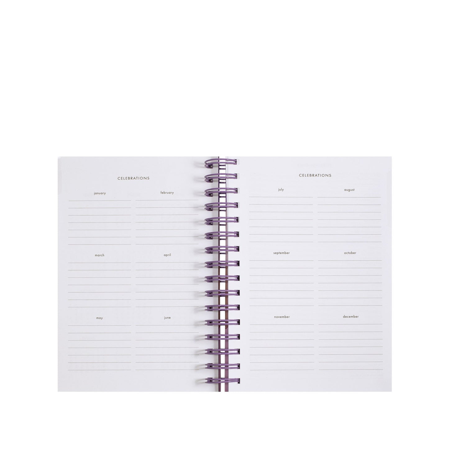 17 Month Medium Planner - Scallop