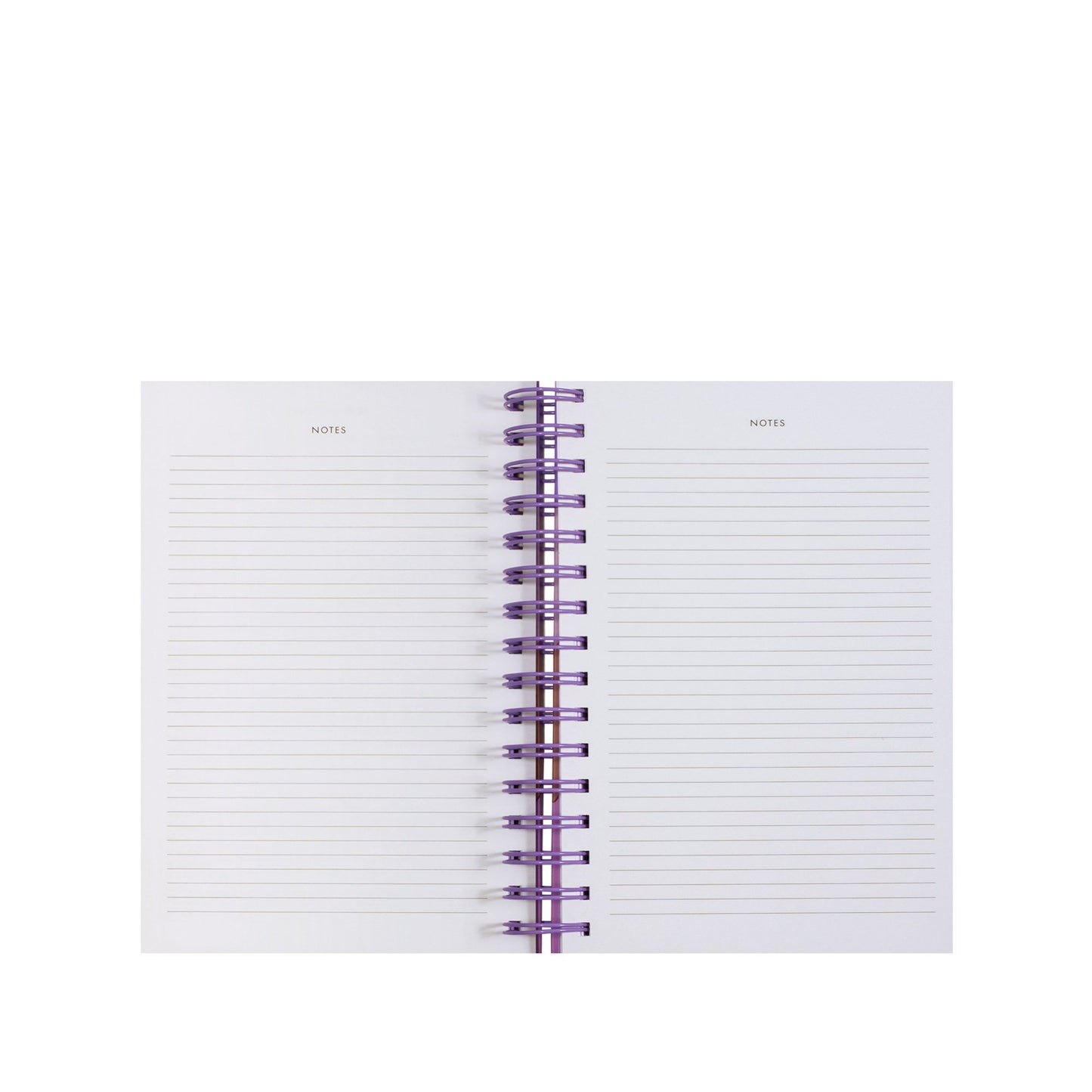17 Month Medium Planner - Scallop