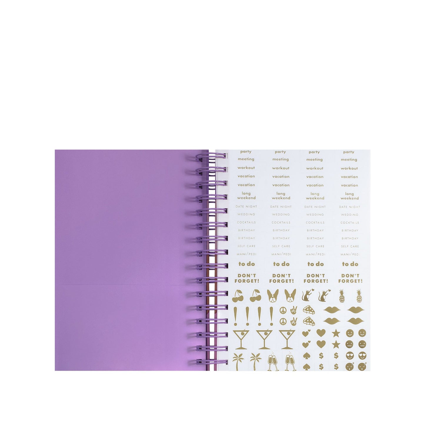 17 Month Medium Planner - Scallop