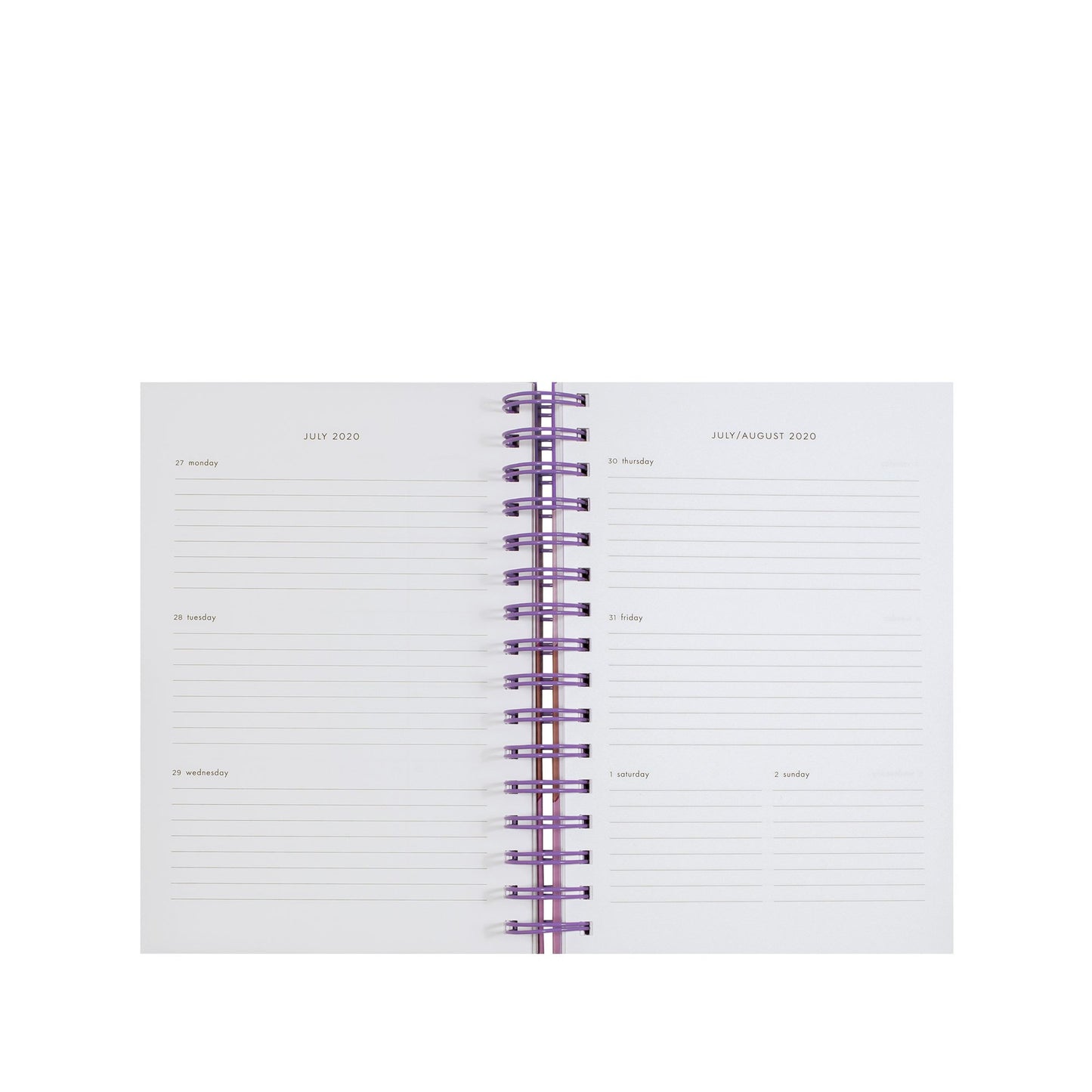 17 Month Medium Planner - Scallop
