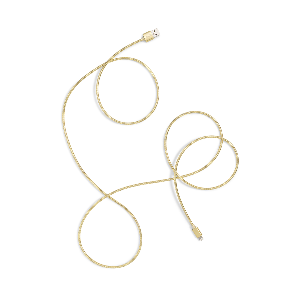 Back Me Up! (Longer) Charging Cord - Metallic Gold
