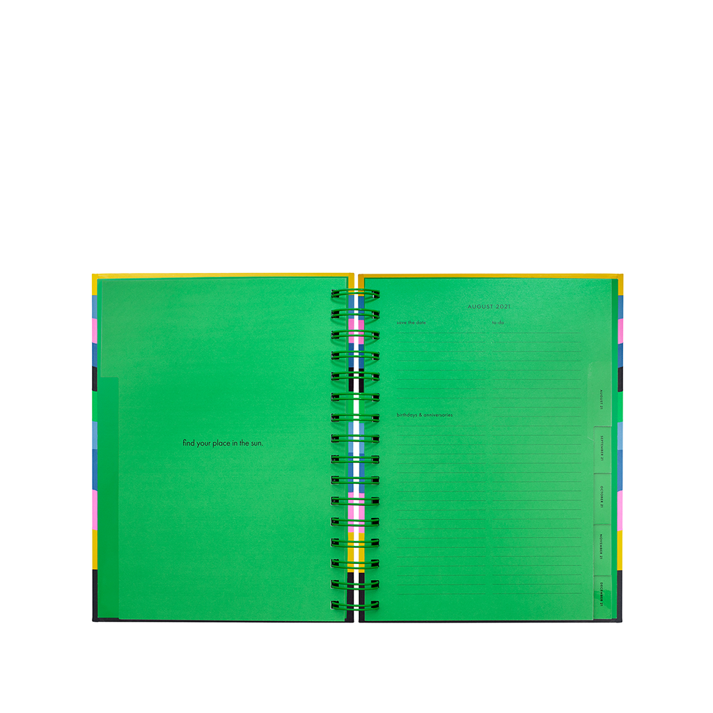 12 Month Medium Planner - Enchanted Stripes