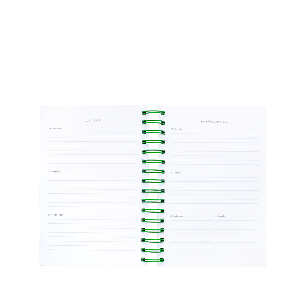12 Month Medium Planner - Enchanted Stripes