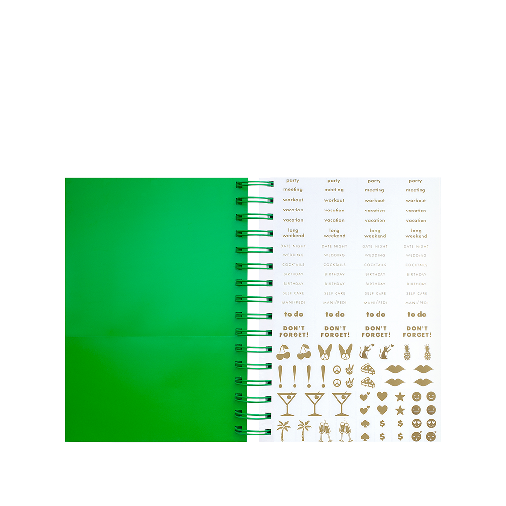 12 Month Medium Planner - Enchanted Stripes