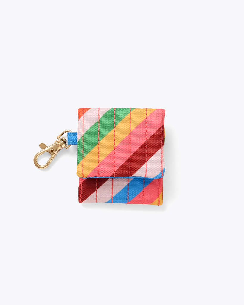 Hold It! Wireless Earbuds Case - Rainbow Stripe