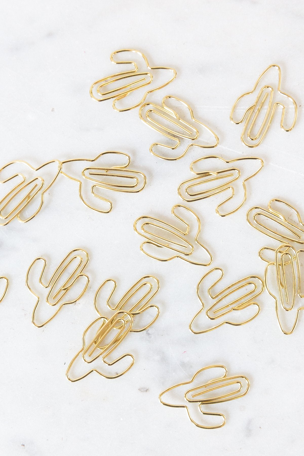 Paperclips - Cactus