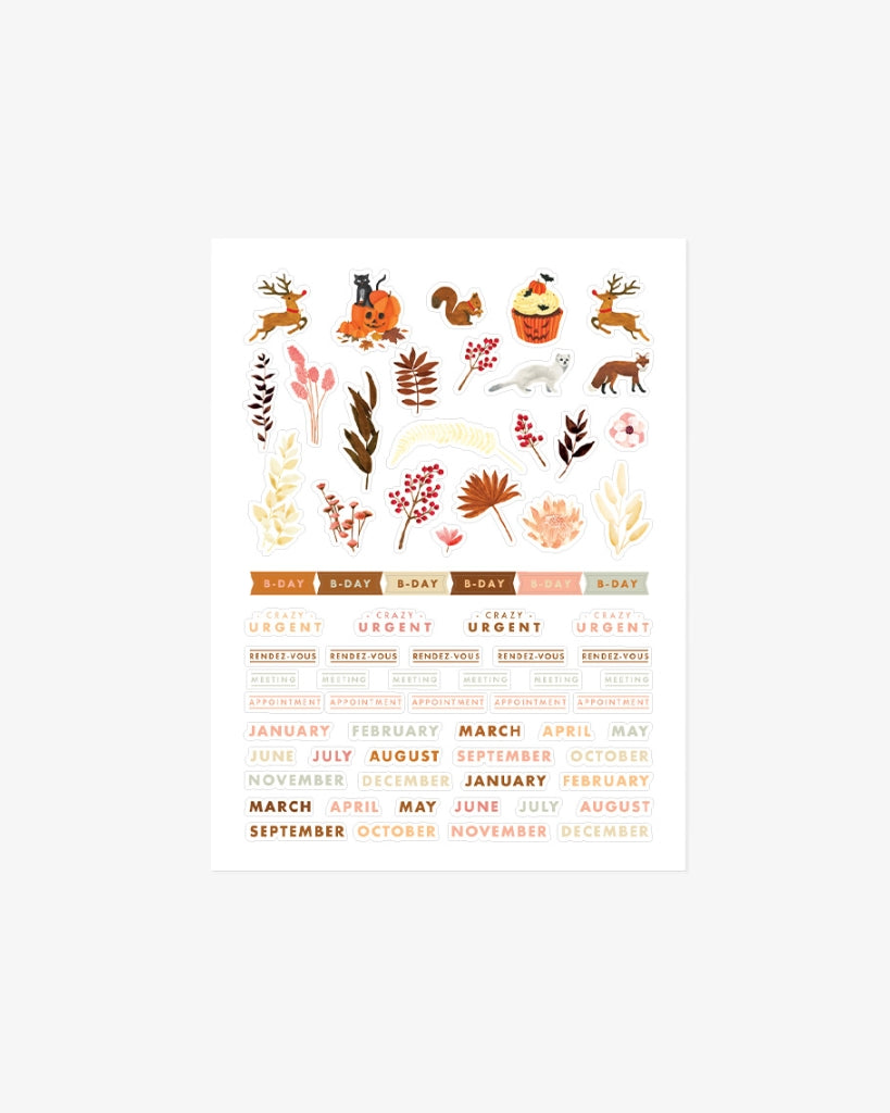 Sticker Set - Women's World