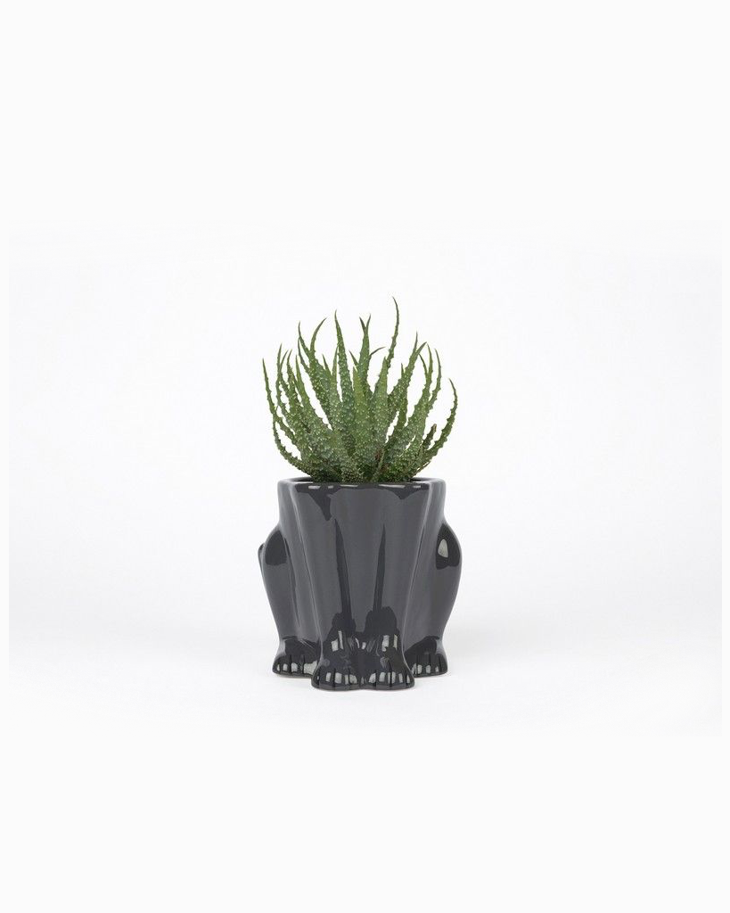 Urban Jungle Plant Pot - Panther