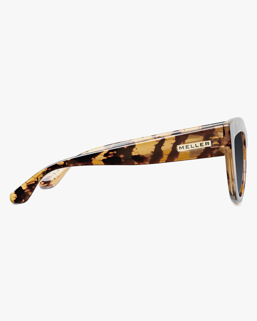 Karoo Sunnies - Tigris Carbon