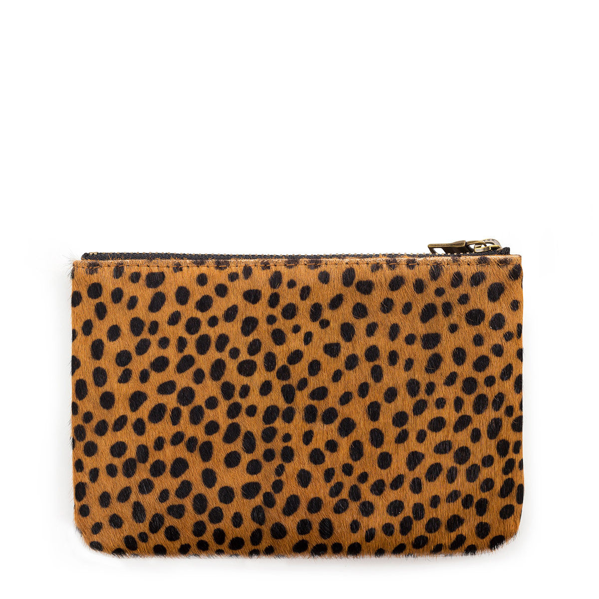 Maud - Cheetah