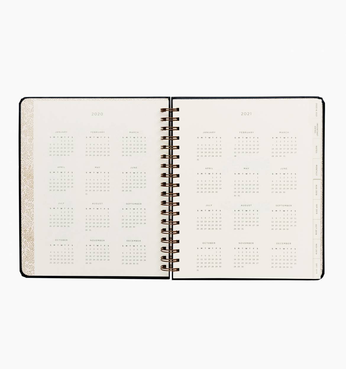 Everyday 17-Month Planner 2020 - Wild Rose Spiral