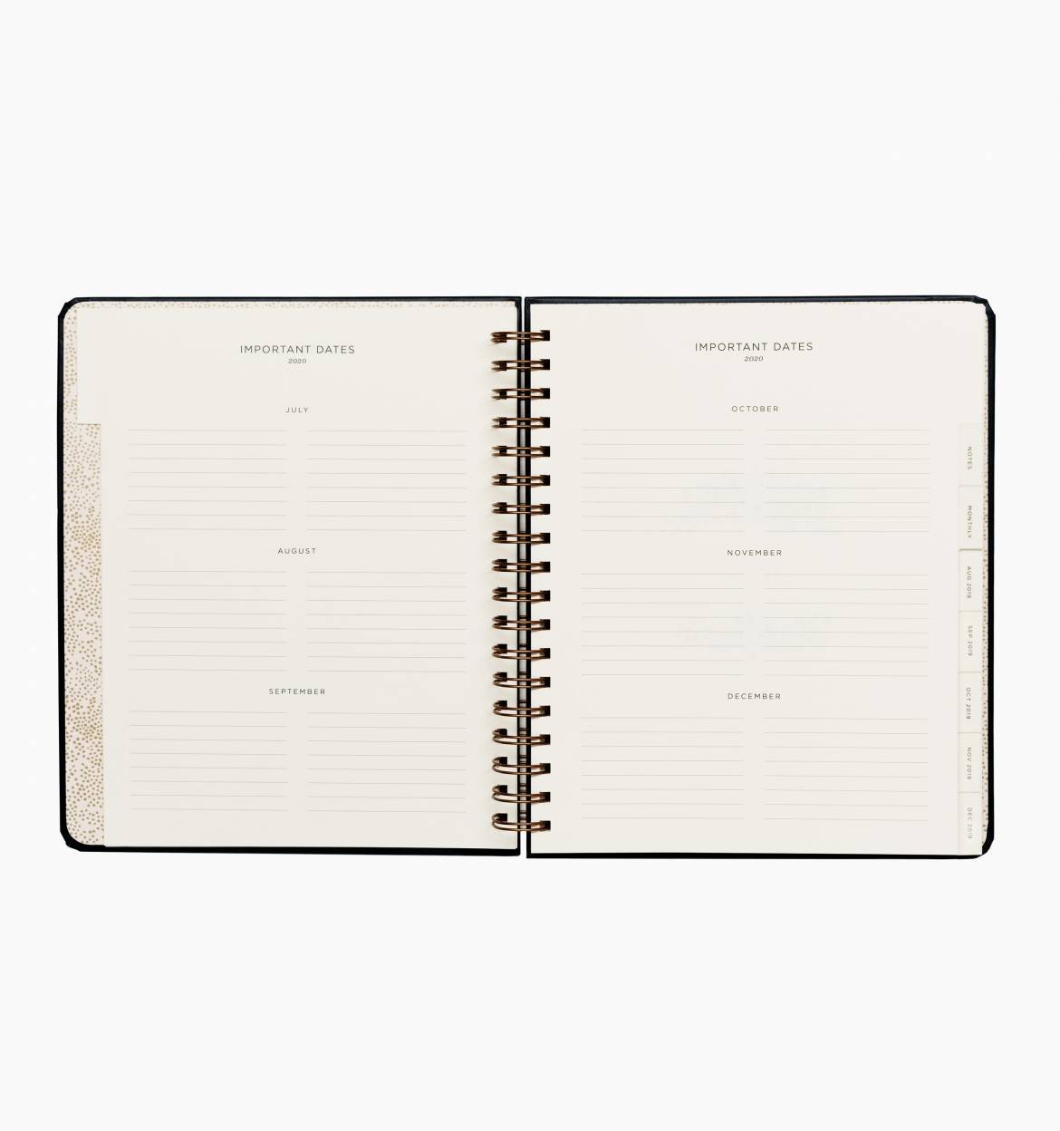 Everyday 17-Month Planner 2020 - Wild Rose Spiral