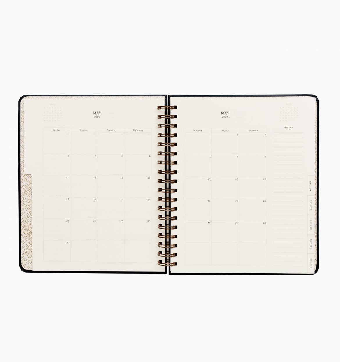 Everyday 17-Month Planner 2020 - Wild Rose Spiral