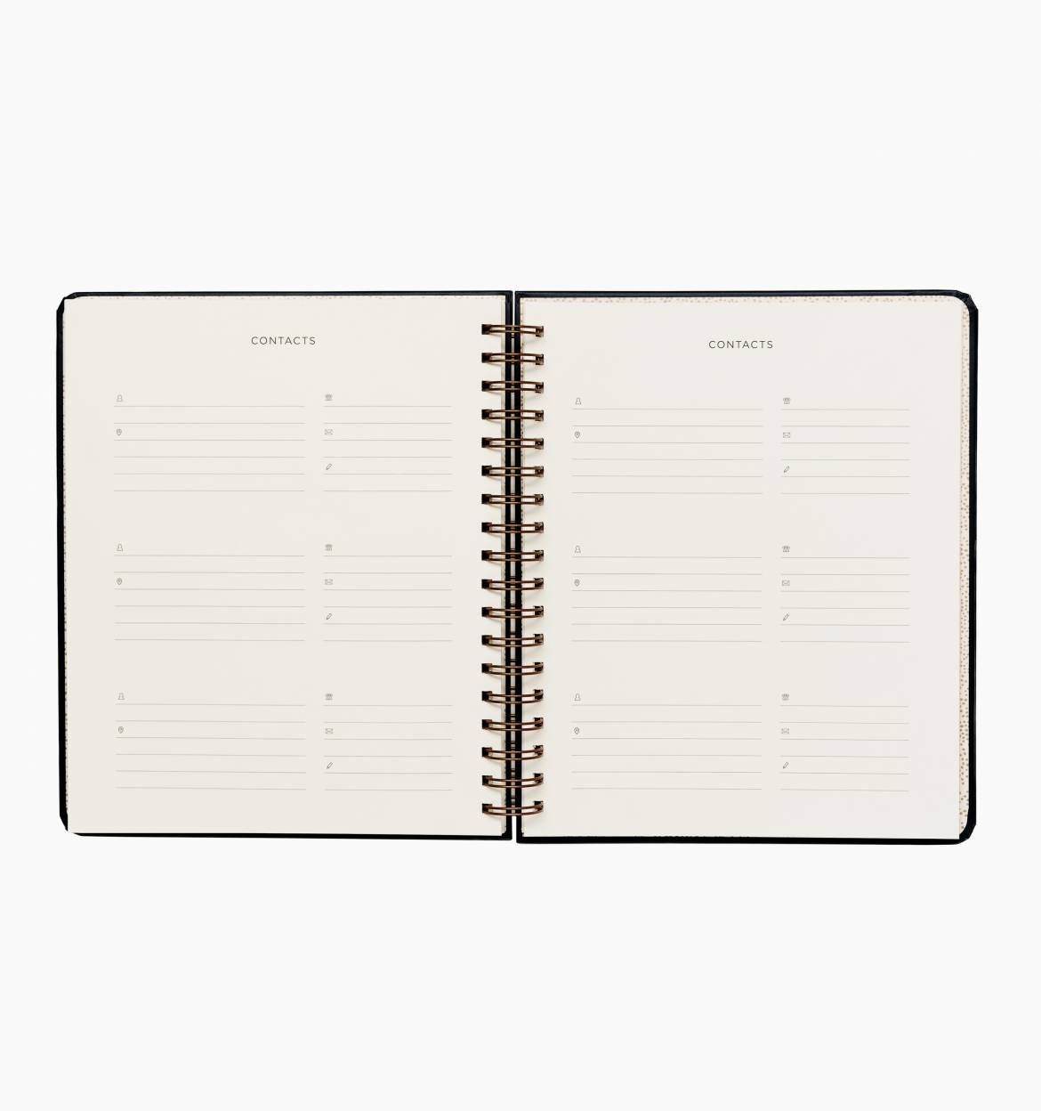 Everyday 17-Month Planner 2020 - Wild Rose Spiral