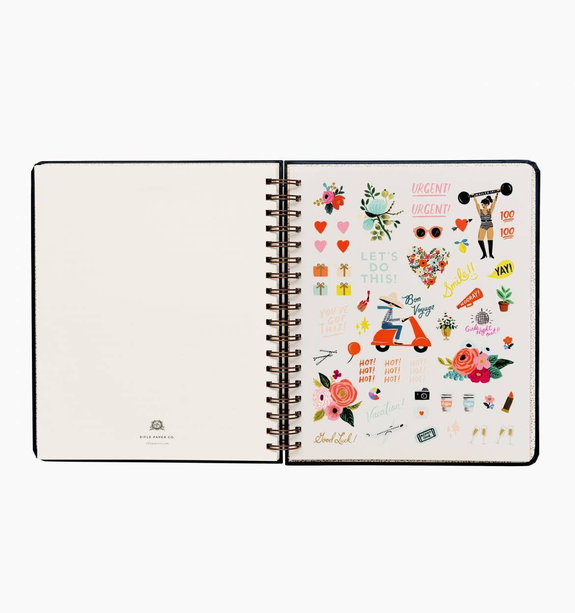 Everyday 17-Month Planner 2020 - Wild Rose Spiral