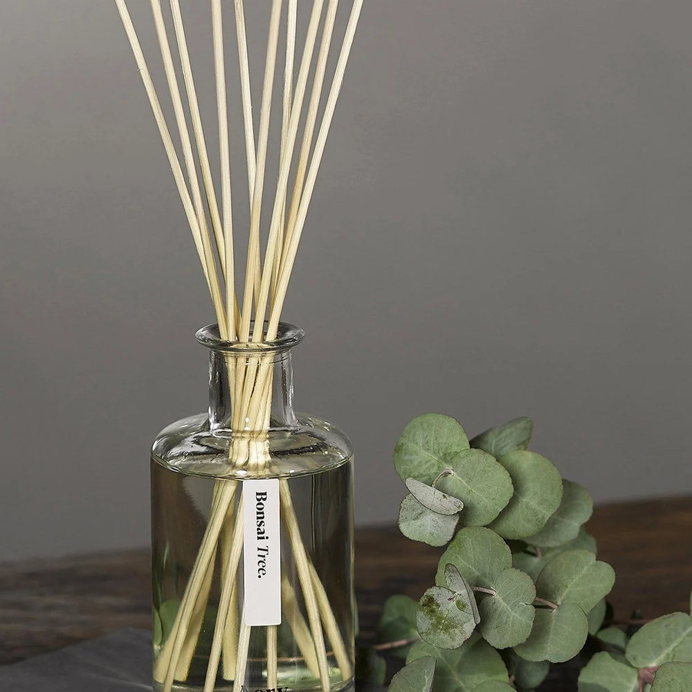 
                      
                        Reed Diffuser - Botanical Bonsai Tree [PRE ORDER]
                      
                    