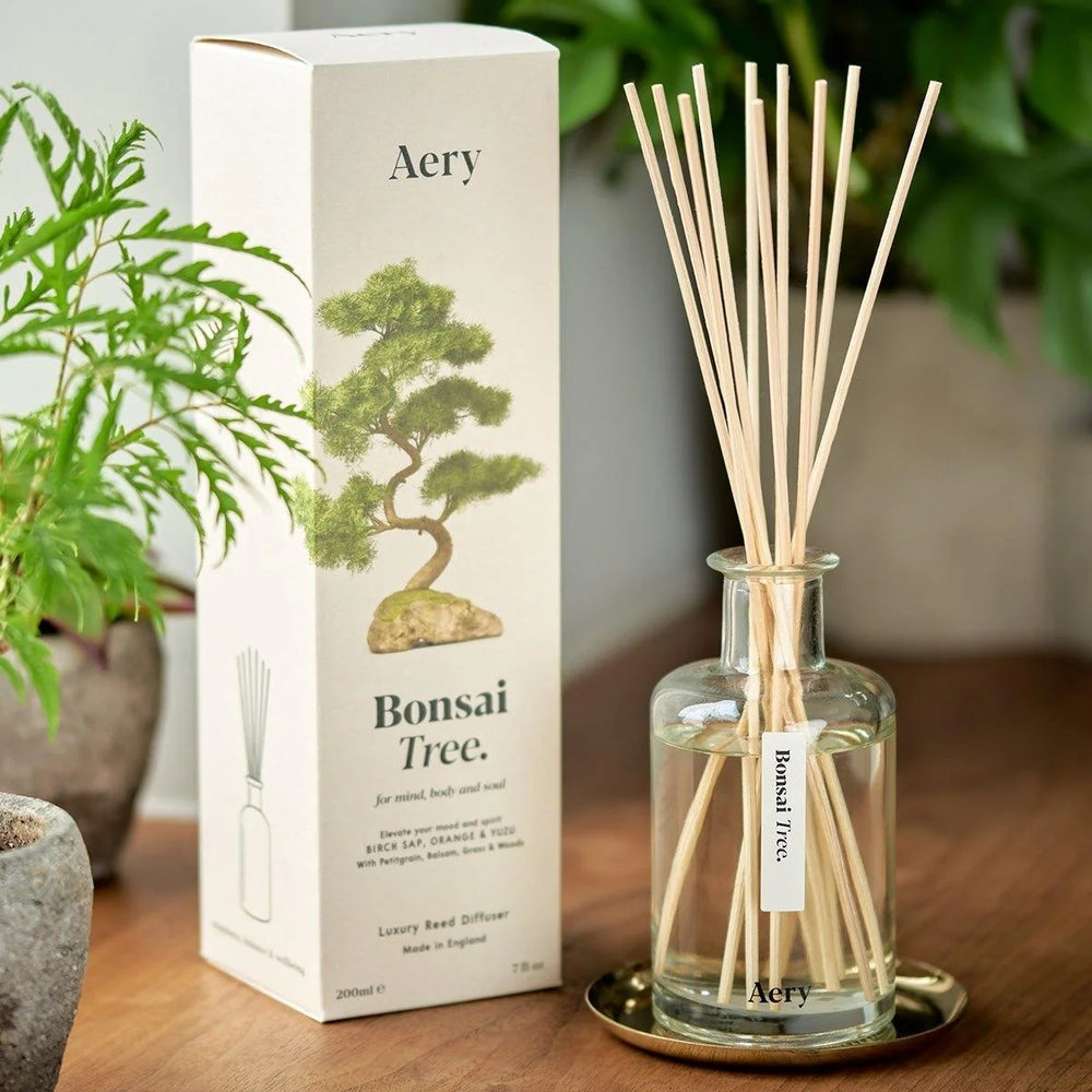 
                      
                        Reed Diffuser - Botanical Bonsai Tree [PRE ORDER]
                      
                    
