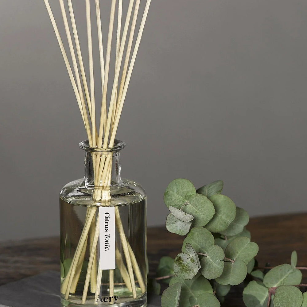
                      
                        Reed Diffuser - Botanical Bonsai Tree [PRE ORDER]
                      
                    