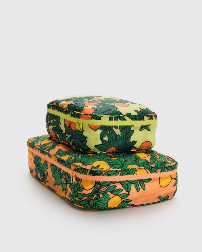 Large Storage Cube Set - Orange Trees