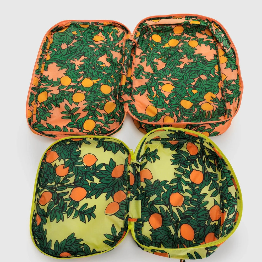 
                      
                        Large Storage Cube Set - Orange Trees
                      
                    