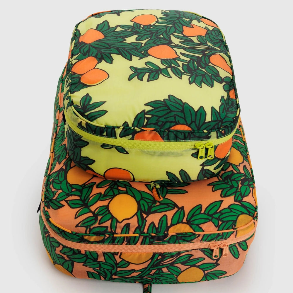 
                      
                        Large Storage Cube Set - Orange Trees
                      
                    