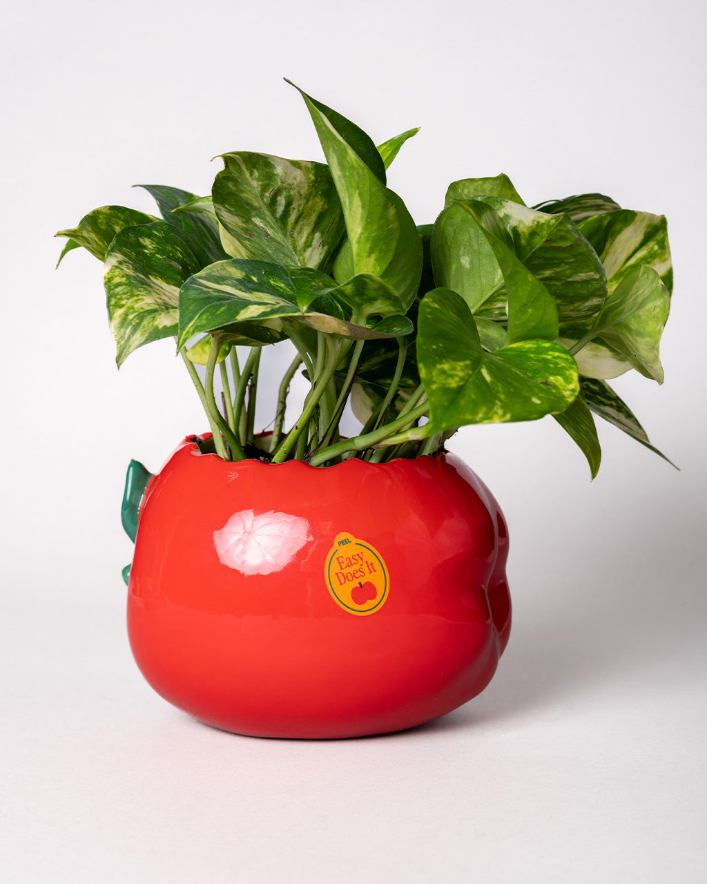 Ceramic Planter - Apple [PRE ORDER]