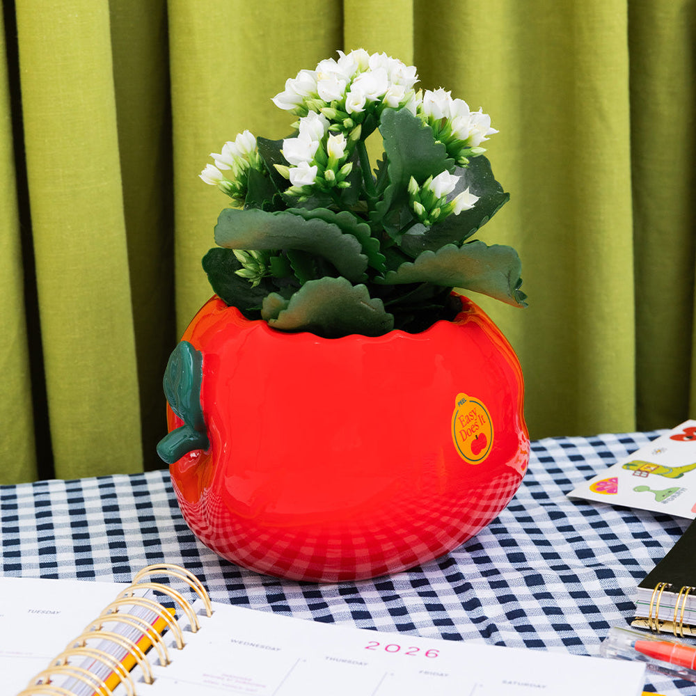 
                      
                        Ceramic Planter - Apple [PRE ORDER]
                      
                    