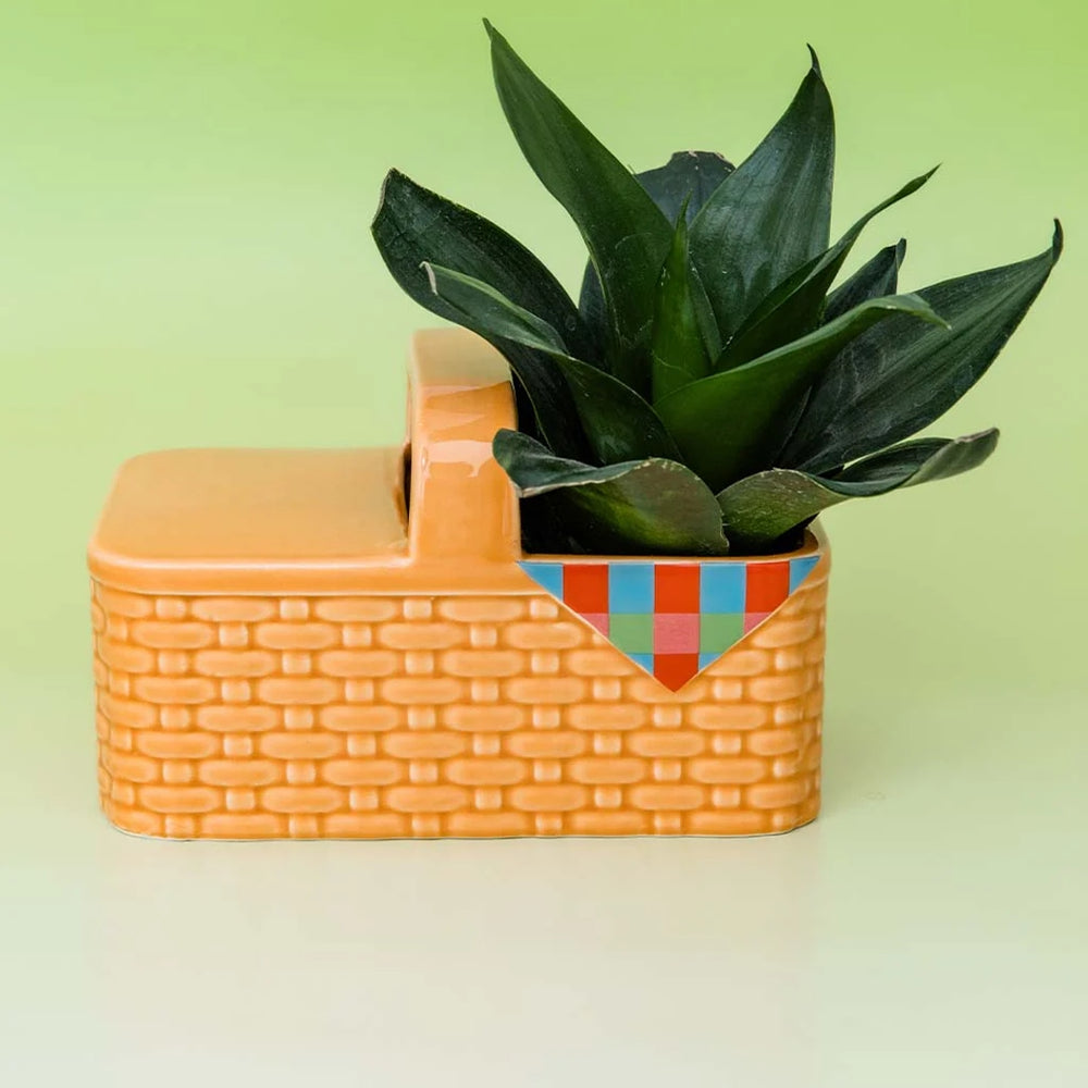 
                      
                        Ceramic Planter - Picnic Basket
                      
                    