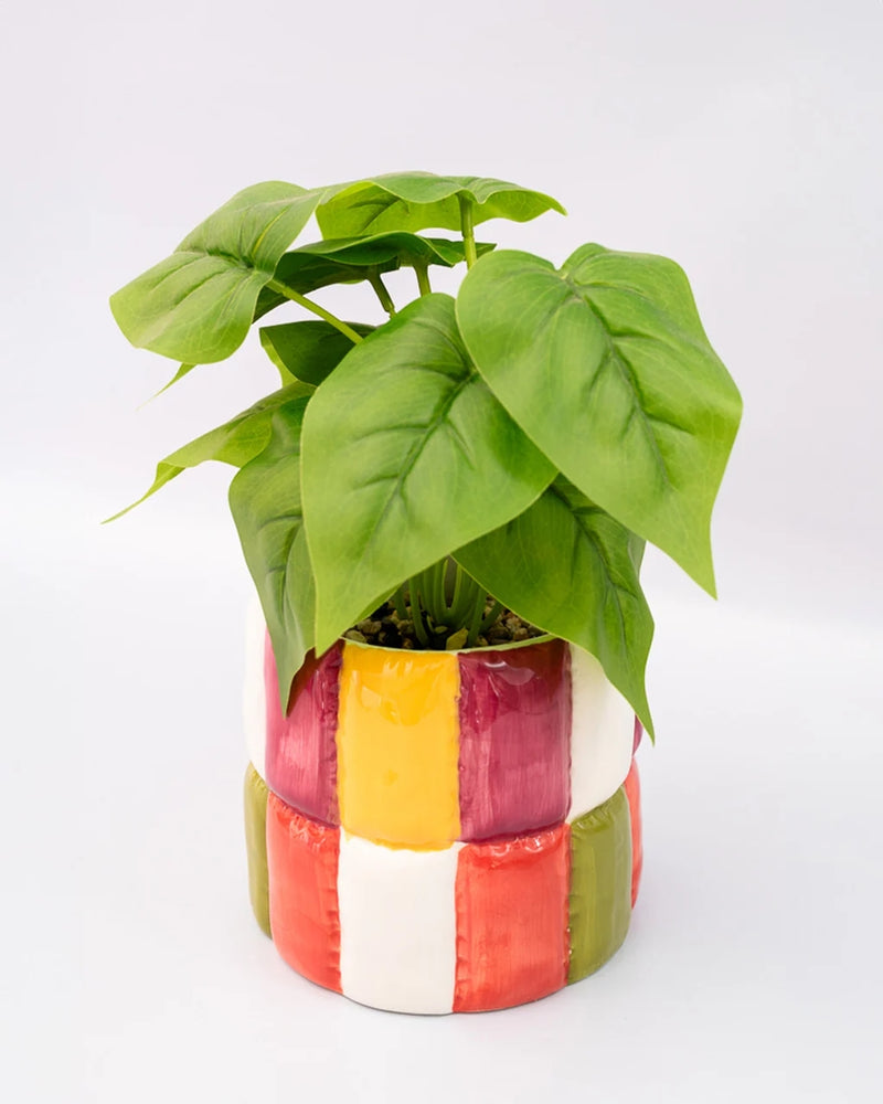 
                      
                        Ceramic Planter - Quilted [PRE ORDER]
                      
                    