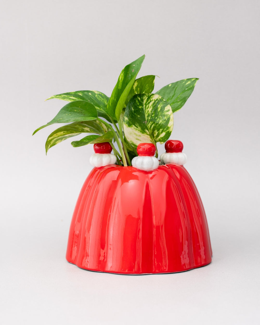Flower Vase - Jelly Dessert [PRE ORDER]