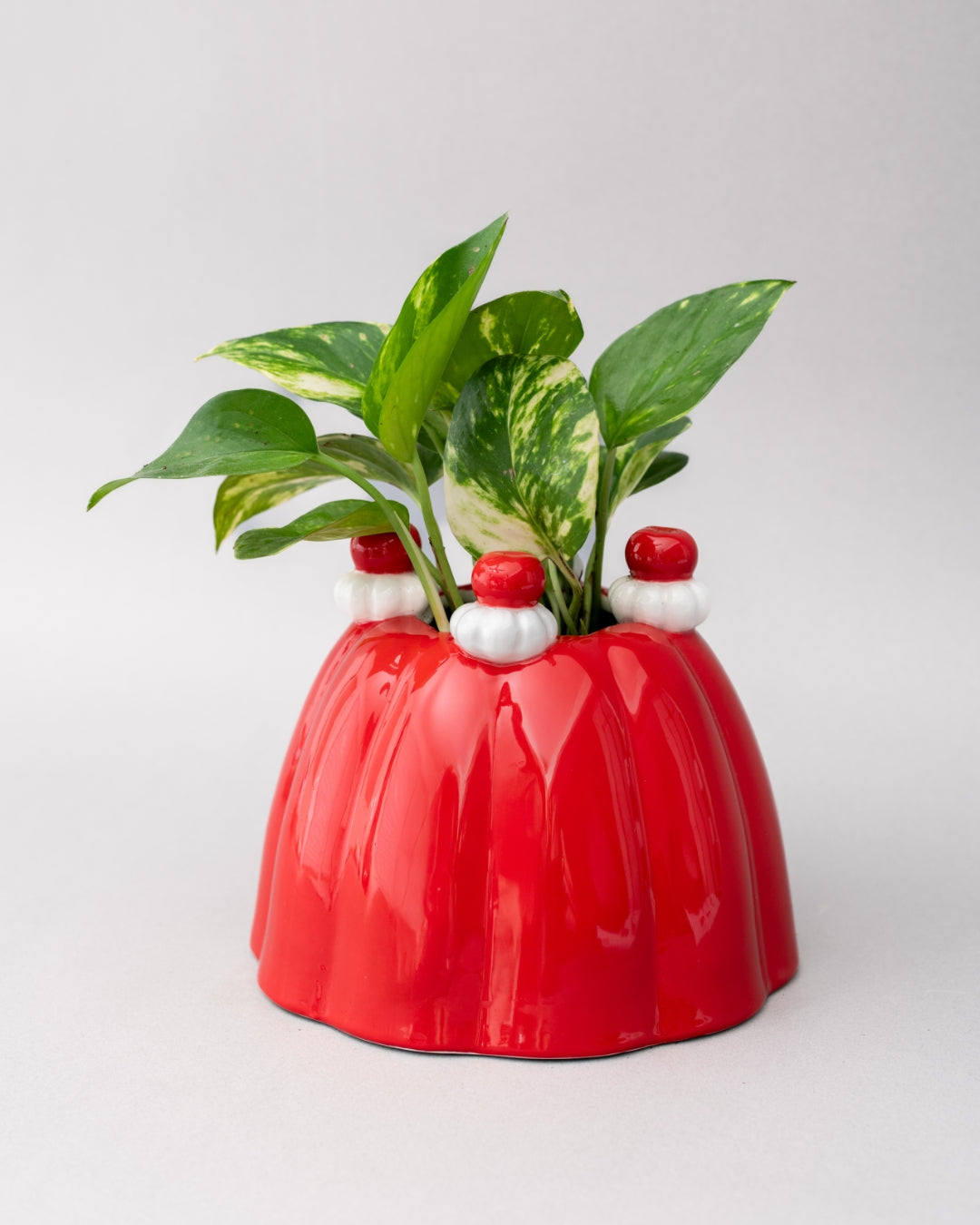 Flower Vase - Jelly Dessert [PRE ORDER]