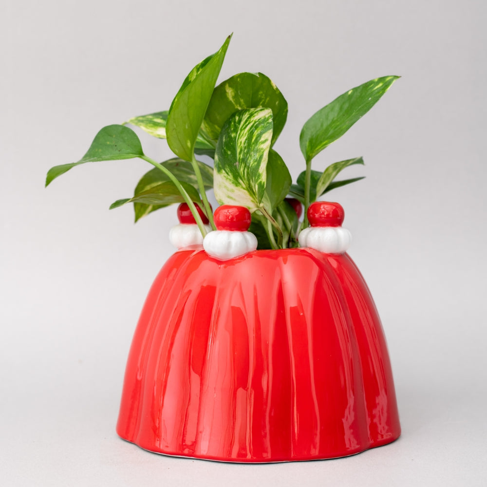 
                      
                        Flower Vase - Jelly Dessert [PRE ORDER]
                      
                    