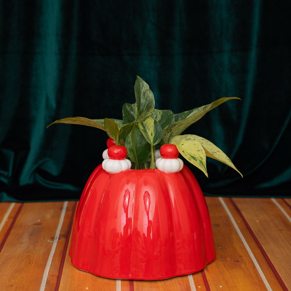 
                      
                        Flower Vase - Jelly Dessert [PRE ORDER]
                      
                    