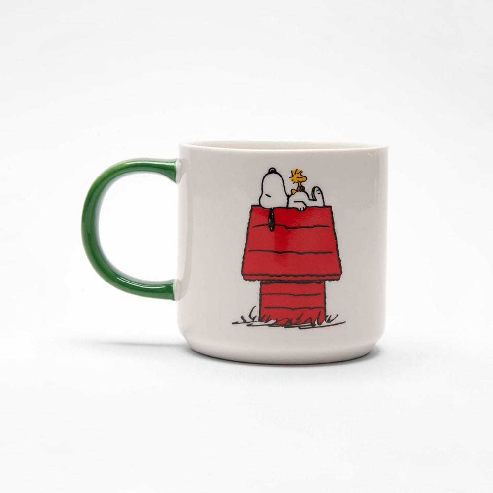 Peanuts Mug - Gang & House