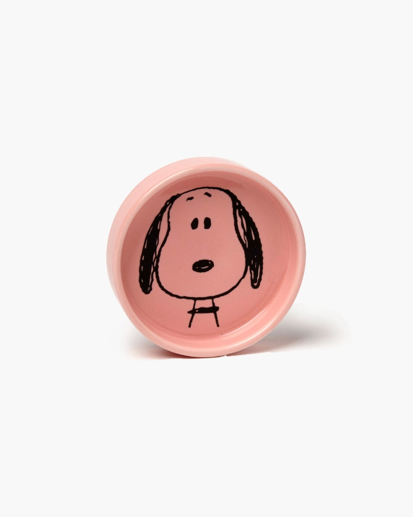 Peanuts Trinket Dish - Visage