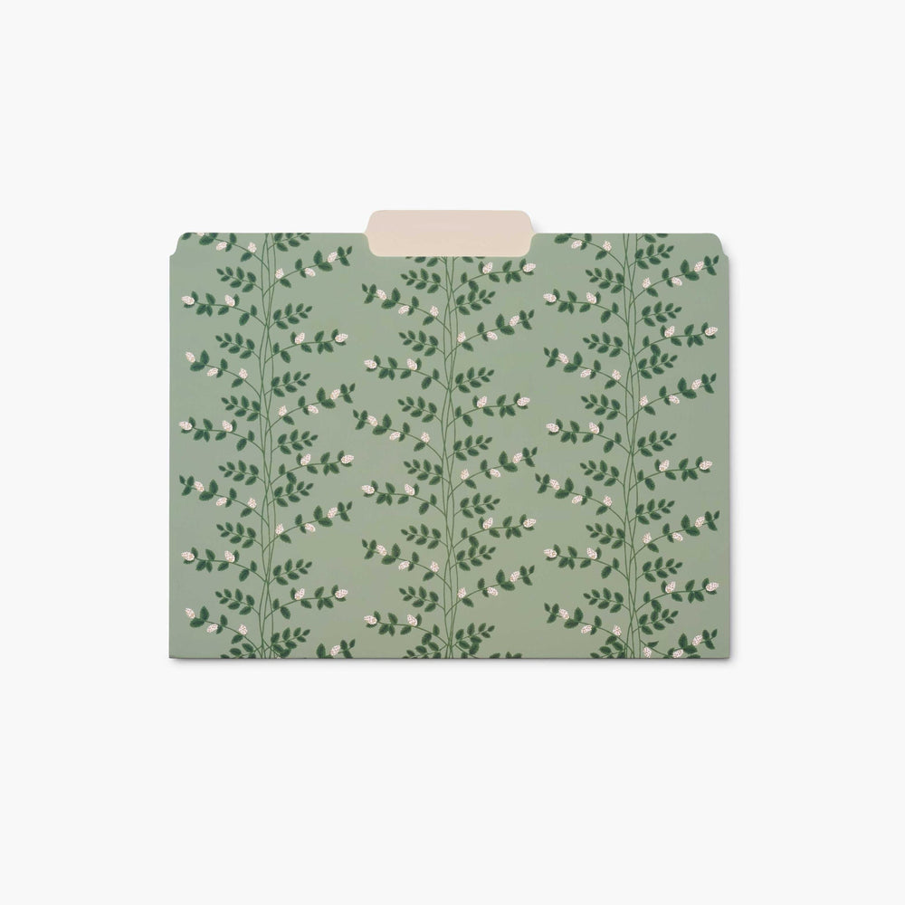 
                      
                        File Folder Set - Dahlia [PRE ORDER]
                      
                    