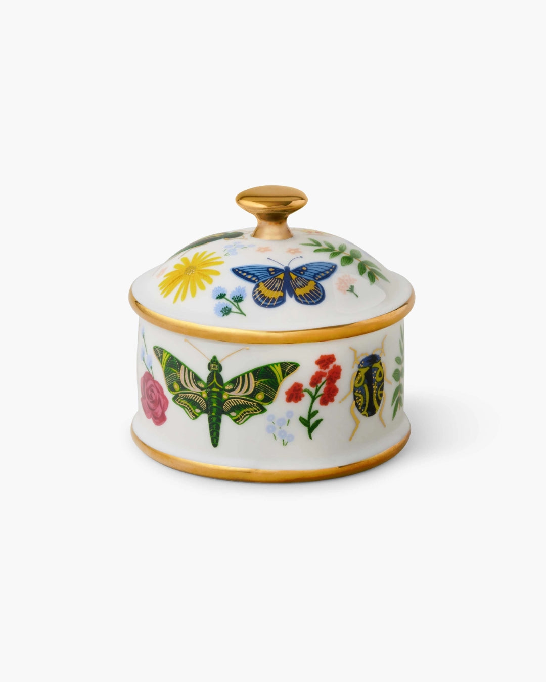 Porcelain Box - Curio [PRE ORDER]