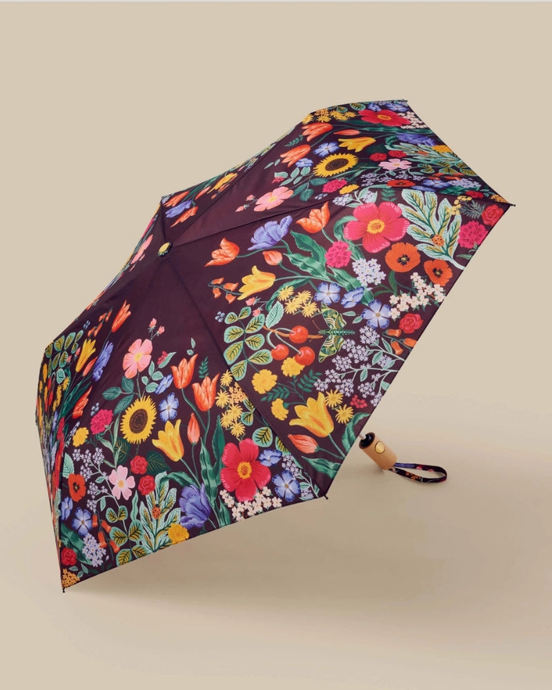 
                      
                        Umbrella - Blossom
                      
                    