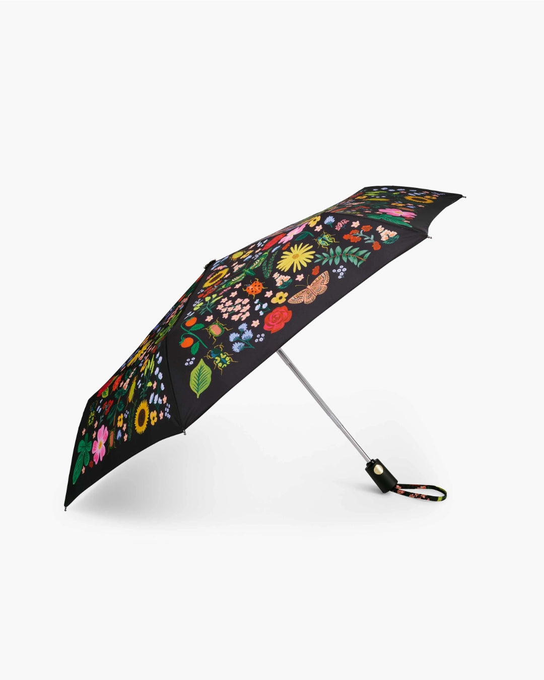 Umbrella - Curio [PRE ORDER]
