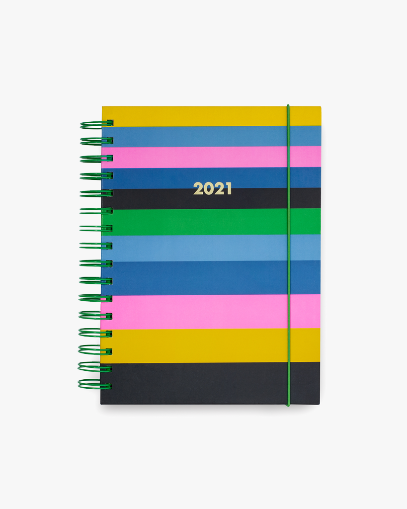 12 Month Large Planner - Enchanted Stripes